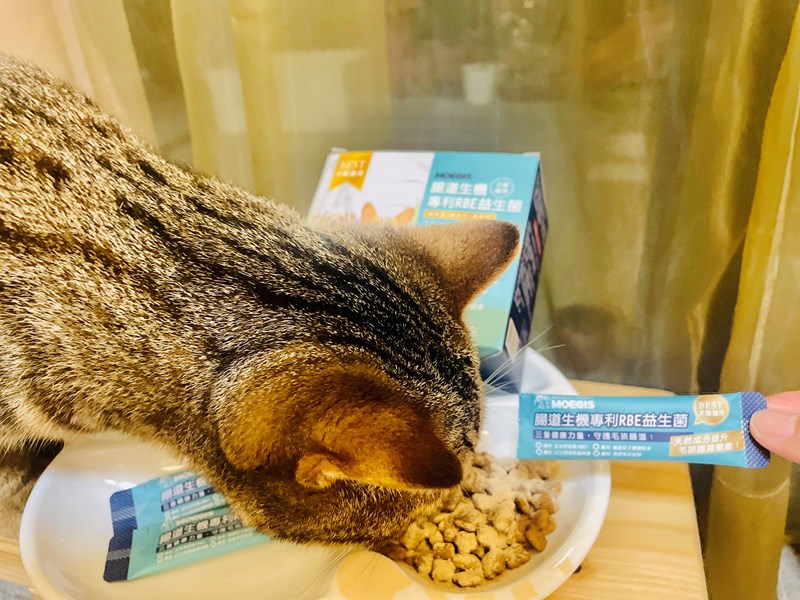 女人知己試用大隊,口碑行銷,部落客行銷,Moegis萌吉 腸道生機專利RBE益生菌,寵物益生菌,專利RBE益生元,專利蔬果酵素,小分子胜肽,藍藻粉,維持免疫力,幫助維持消化道機能,維持正常食慾,改變細菌叢生態,腸胃保健,犬貓適用